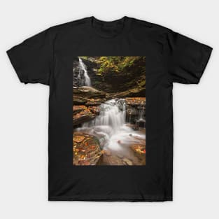 Ozone Falls T-Shirt